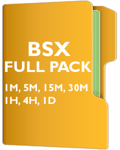 BSX Pack - Boston Scientific Corporation